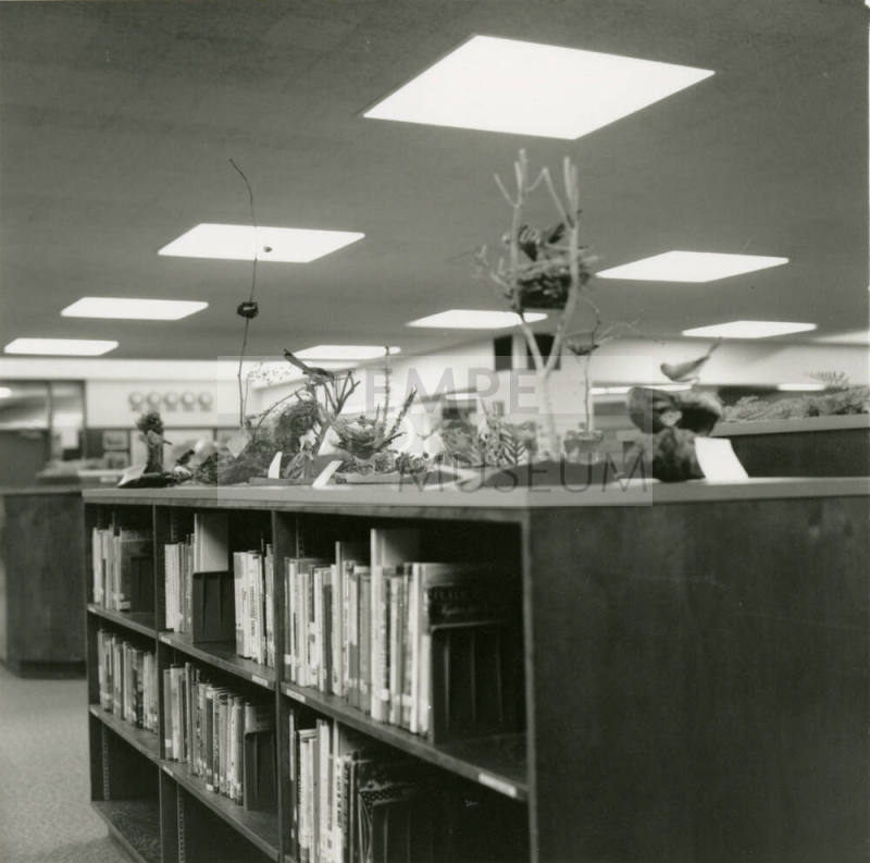 Unidentified Photograph of a Library Interior