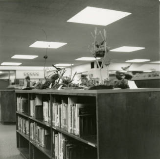 Unidentified Photograph of a Library Interior