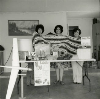 But Where's the Car? - Tempe Daily News - November 1, 1978 (1 of 3)