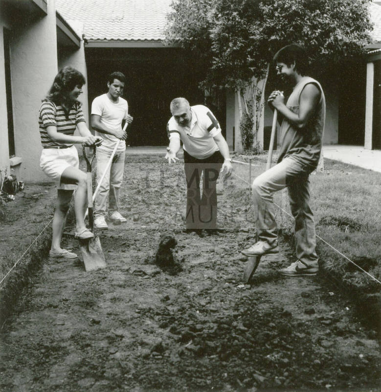 Open house today - Tempe Daily News - August 1, 1984