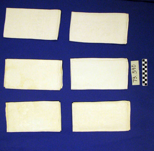 Napkins (6)