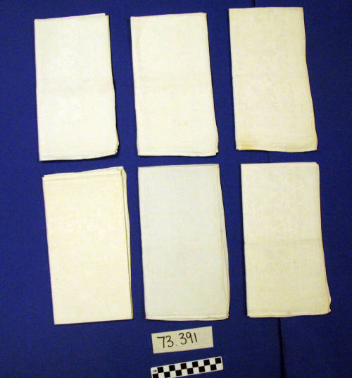 Napkins (6)
