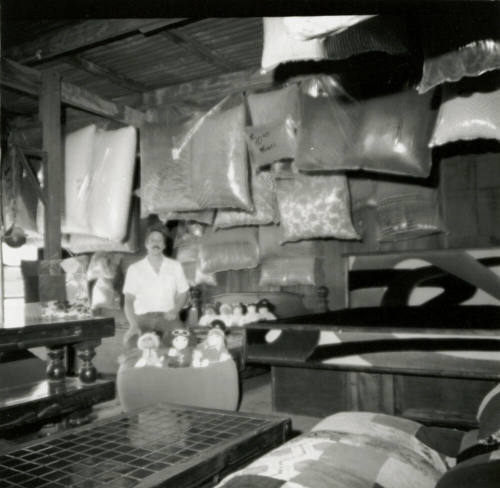 Man with stuffed animals and bagged material