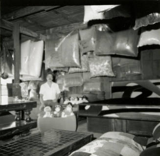Man with stuffed animals and bagged material