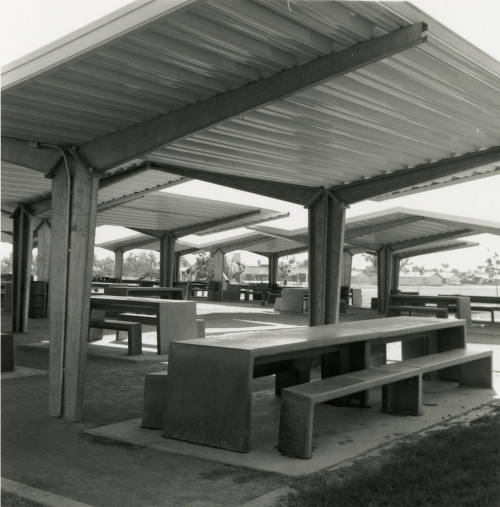 Unidentified Tempe City Park