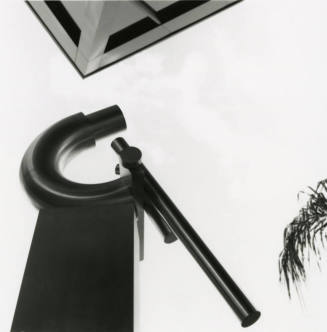 "Untitled" by Ben Goo (1983)
