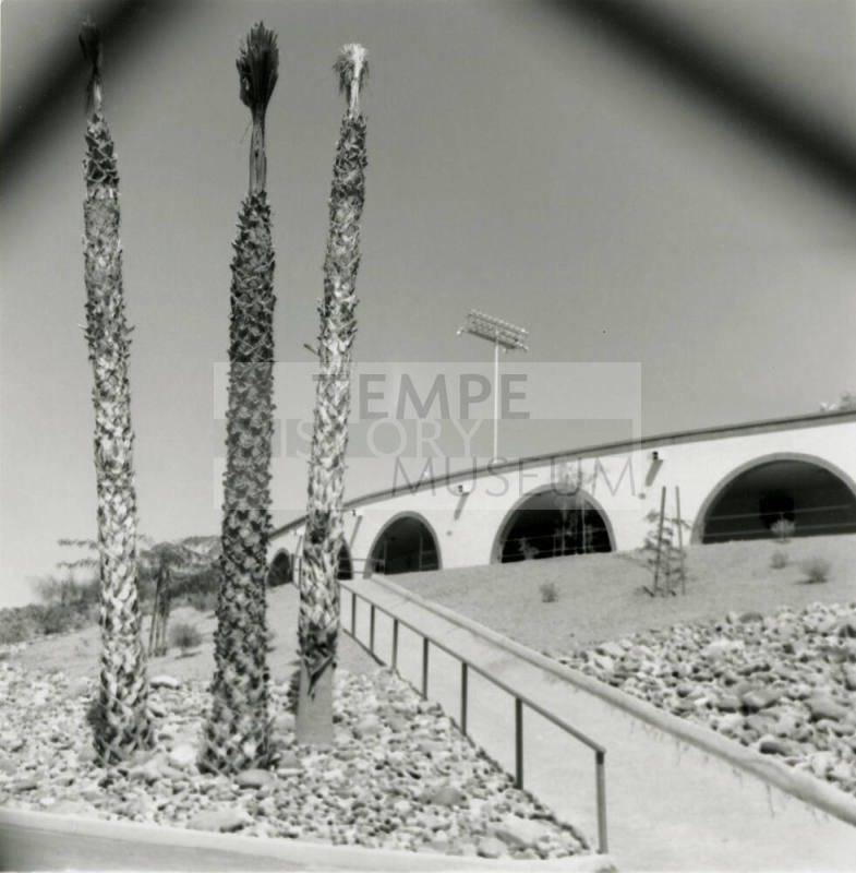 Unidentified Building/Palm Trees/Stadium Light