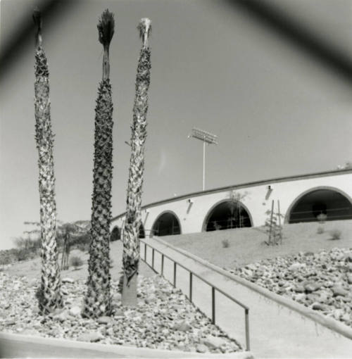Unidentified Building/Palm Trees/Stadium Light