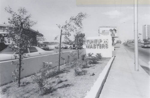 Tune Up Masters - 808 South Rural Road, Tempe, Arizona
