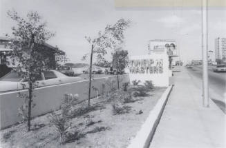 Tune Up Masters - 808 South Rural Road, Tempe, Arizona