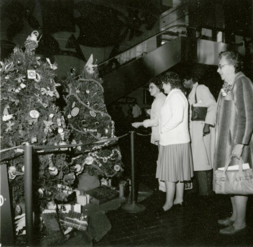 Trees of all Nations - Tempe Daily News December 22, 1984