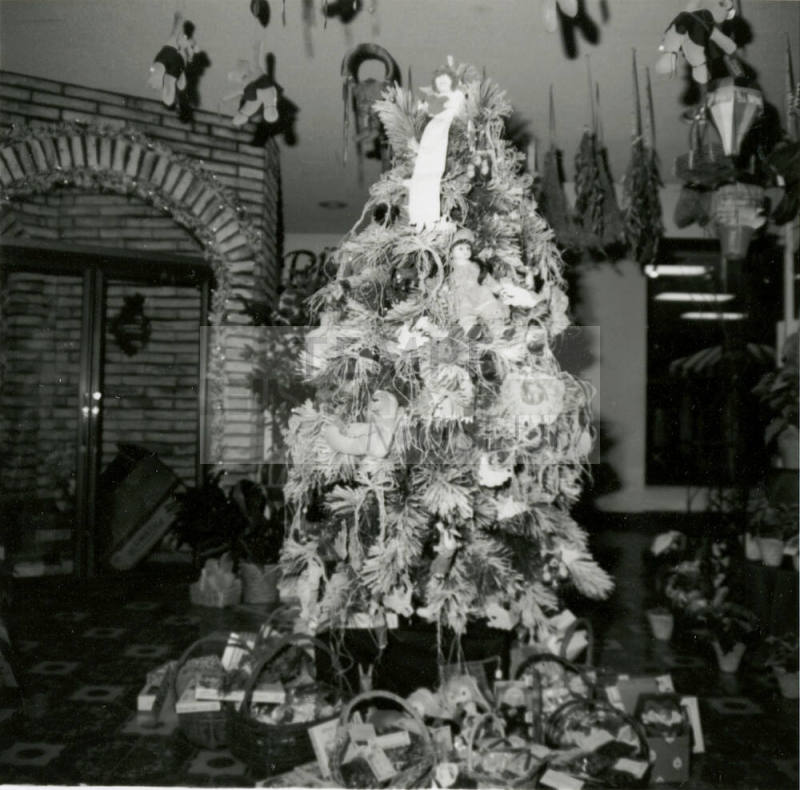 Christmas Time. - December 1984