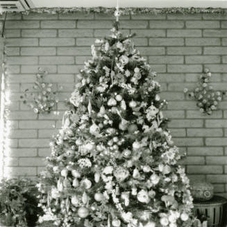 Home boasts forest of trees. - Tempe Daily News, December 25 1984