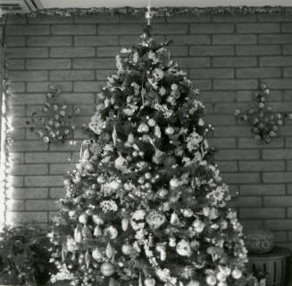 Home boasts forest of trees. - Tempe Daily News, December 25 1984