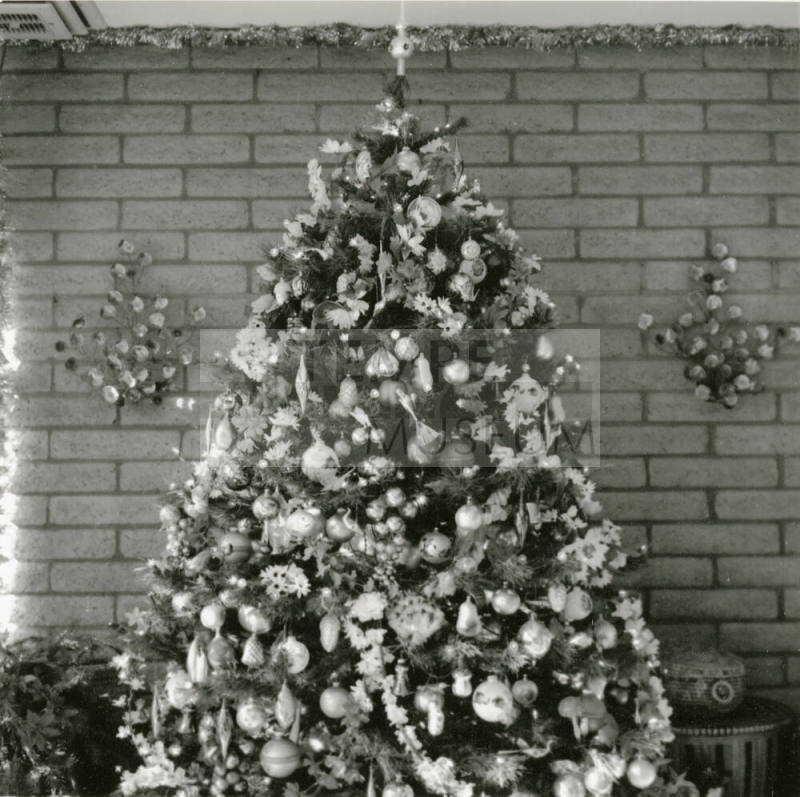 Home boasts forest of trees. - Tempe Daily News, December 25 1984