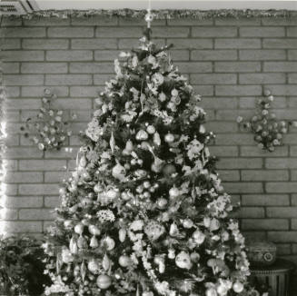 Home boasts forest of trees. - Tempe Daily News, December 25 1984
