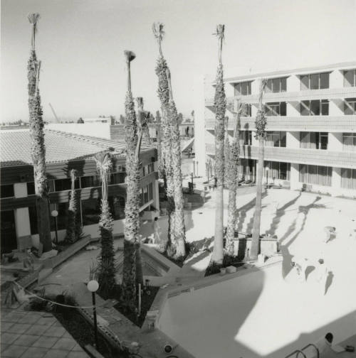 New Ramada to open as sports hotel - Tempe Daily News from January 7, 1985
