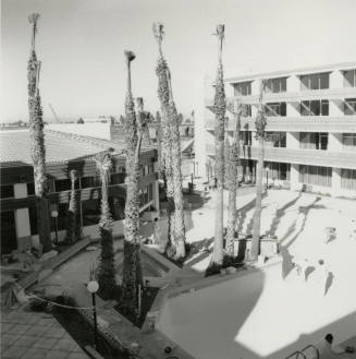 New Ramada to open as sports hotel - Tempe Daily News from January 7, 1985