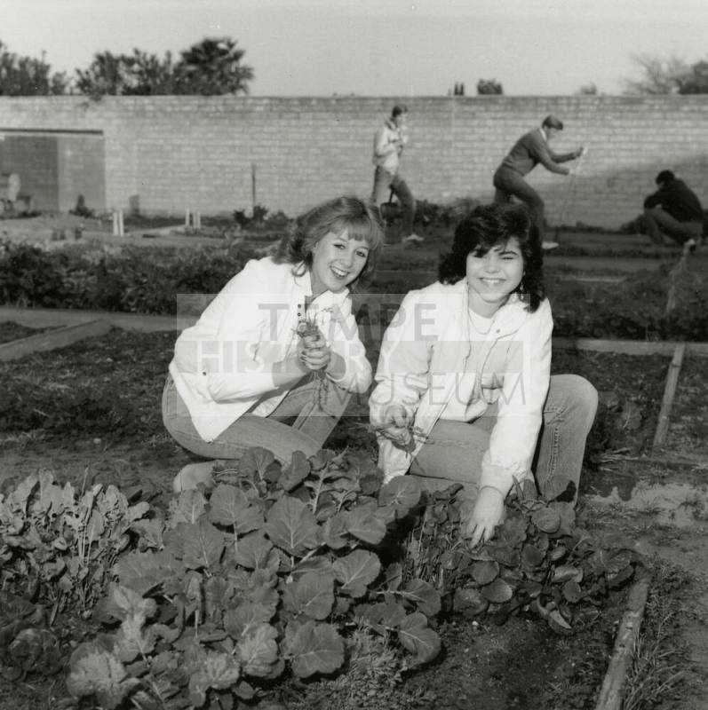 Two unidentified women in a vegetable garden