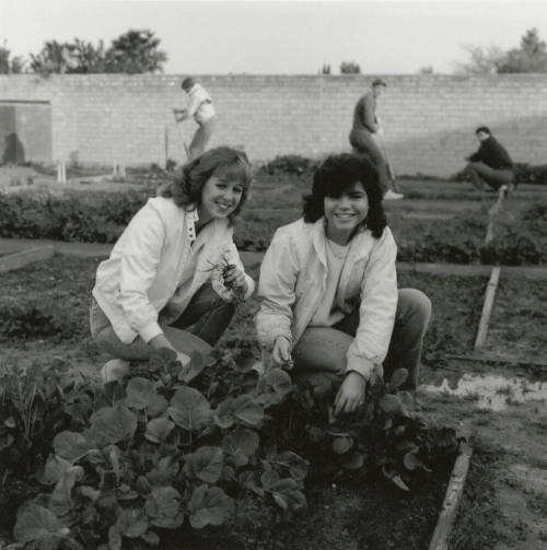 Two unidentified women in a vegetable garden