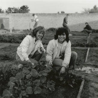 Two unidentified women in a vegetable garden
