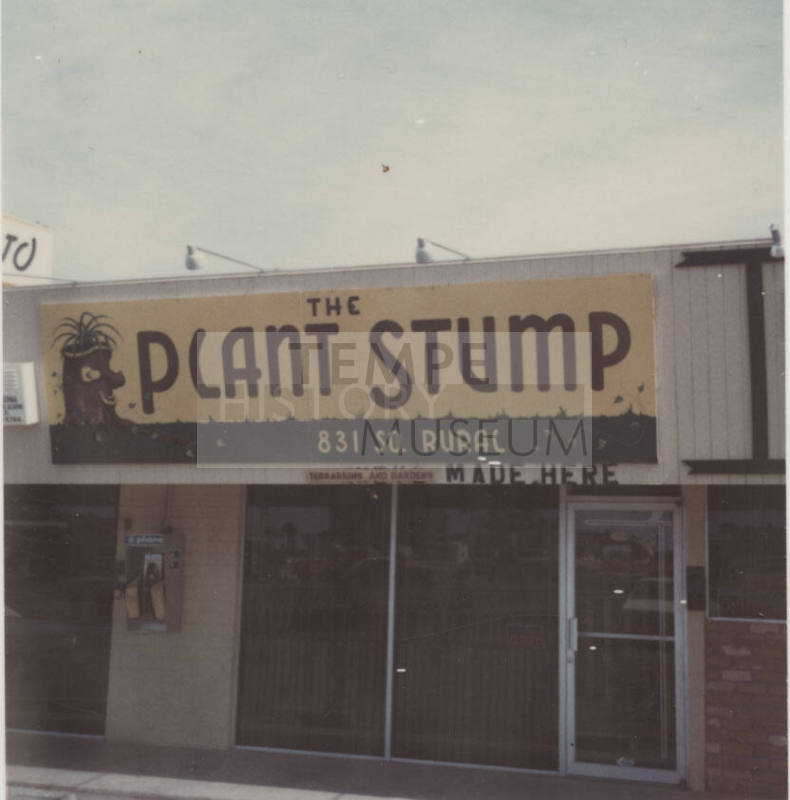 The Plant Stump - 831 South Rural Road, Tempe, Arizona