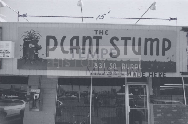 The Plant Stump - 831 South Rural Road, Tempe, Arizona