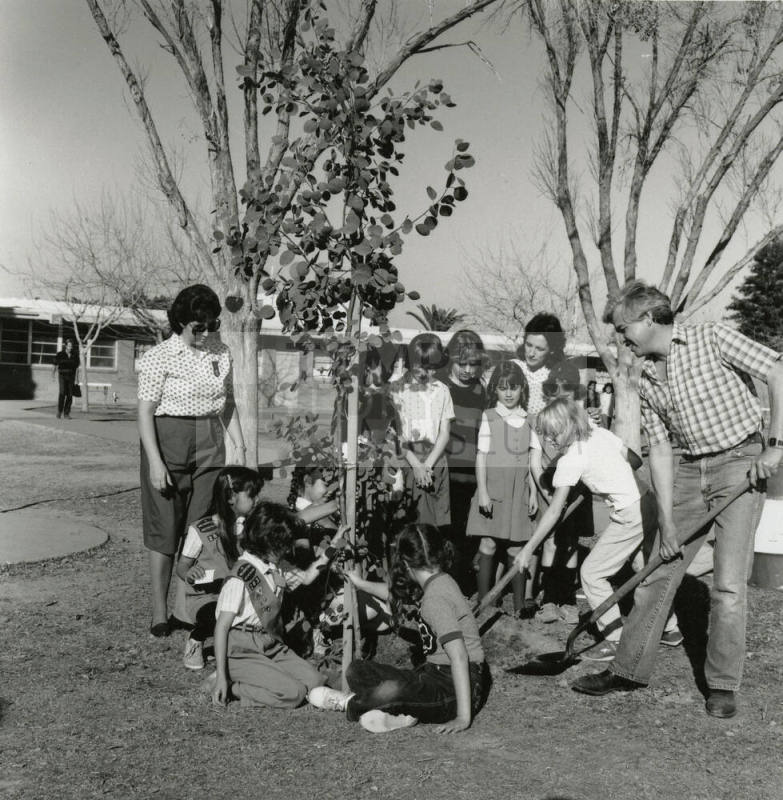 Sprucing Up - Tempe Daily News, January 8, 1986