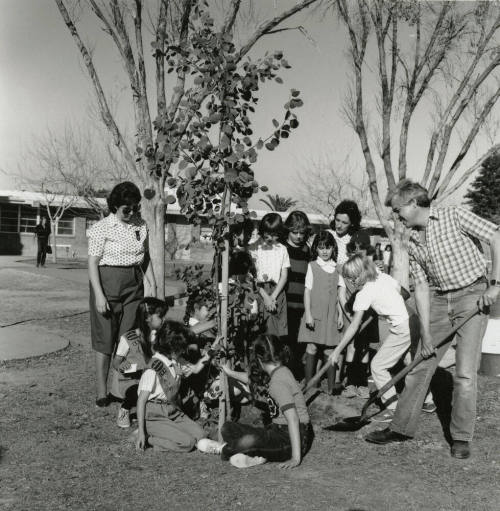 Sprucing Up - Tempe Daily News, January 8, 1986