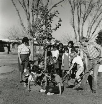 Sprucing Up - Tempe Daily News, January 8, 1986