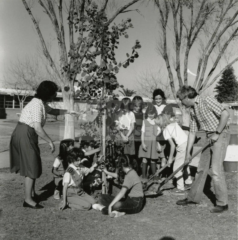 Sprucing up, from Tempe Daily News, January 18, 1986