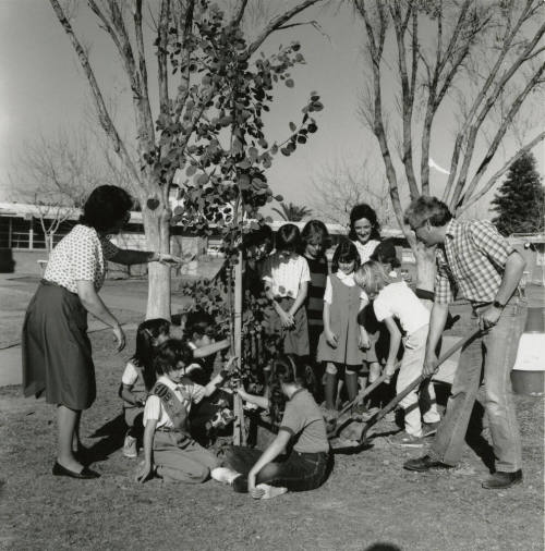 Sprucing up, from Tempe Daily News, January 18, 1986