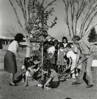 Sprucing up, from Tempe Daily News, January 18, 1986