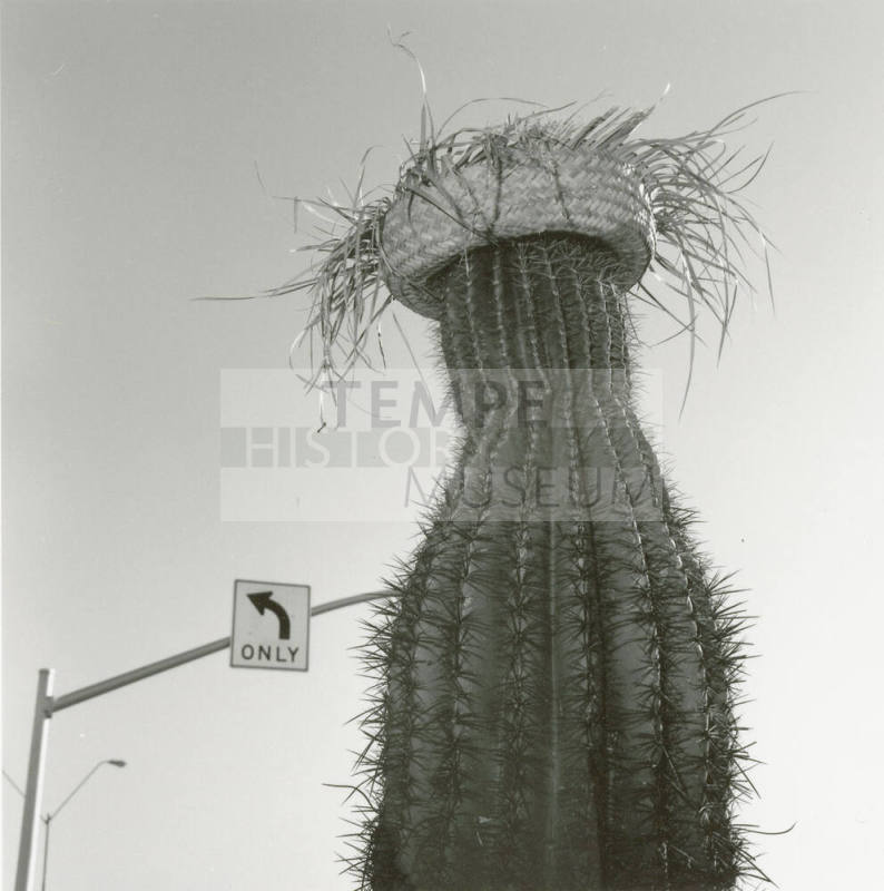 Cactus with straw hat in front of left only sign