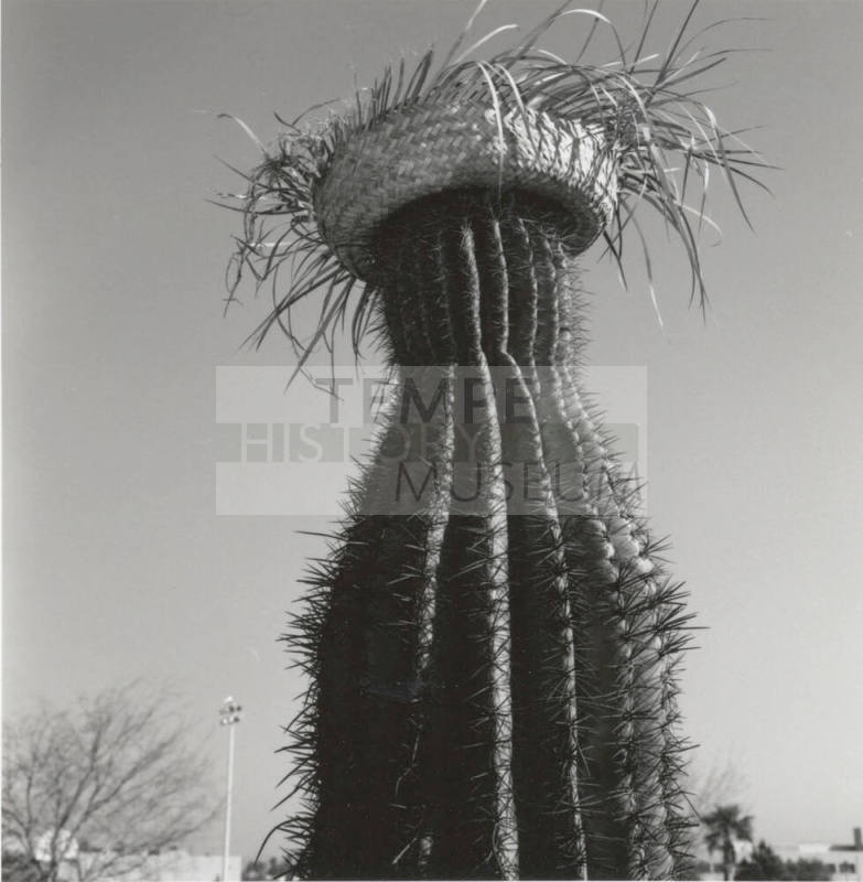 Cactus with straw hat in front of left only sign