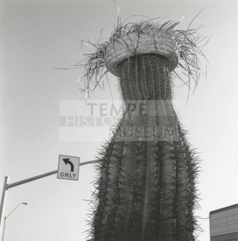 Cactus with straw hat in front of left only sign