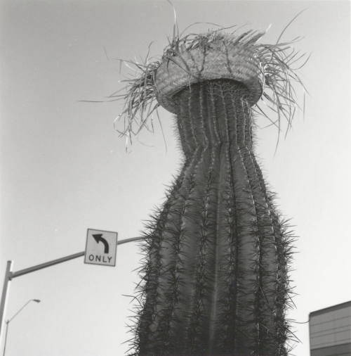 Cactus with straw hat in front of left only sign