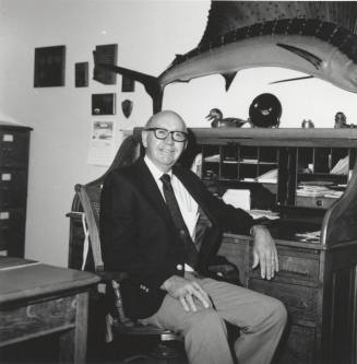 Unidentified Man at Home in His Office