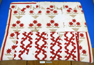 Cleveland Lily and Drunkard's Path (used other name) quilt