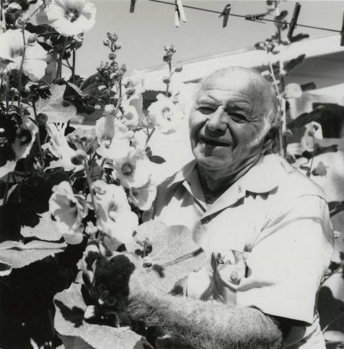 Unidentified Grey-Haired Man & Flowers
