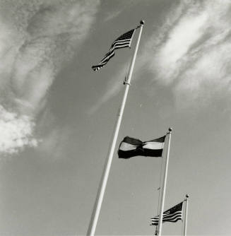 Salute to the flag.