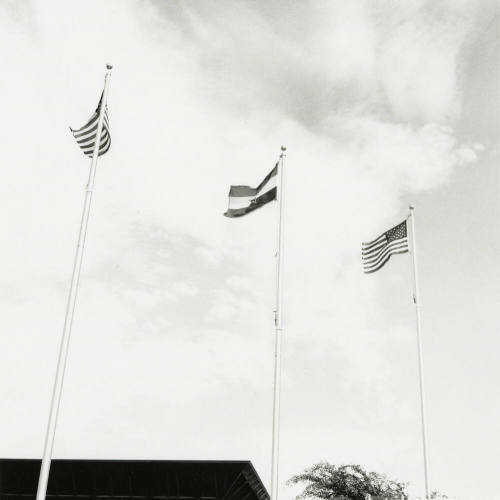 Salute to the flag.