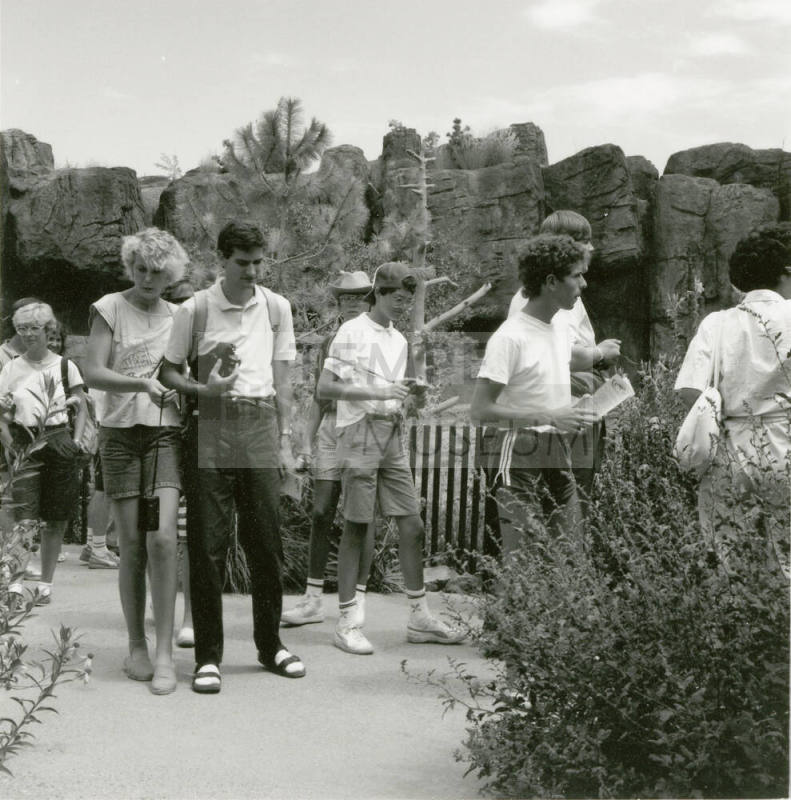 A group of people take a tour through the Arizona-Sonora Desert Museum.