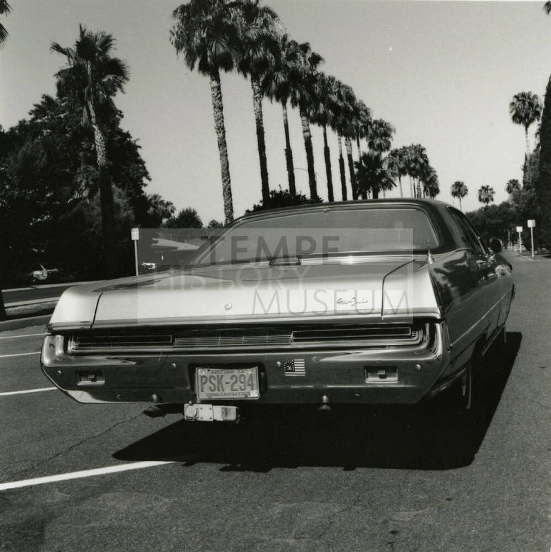 Car and palm trees