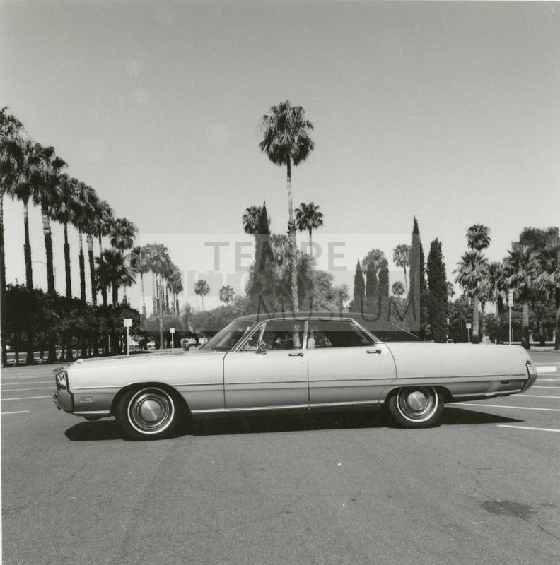 Car and palm trees