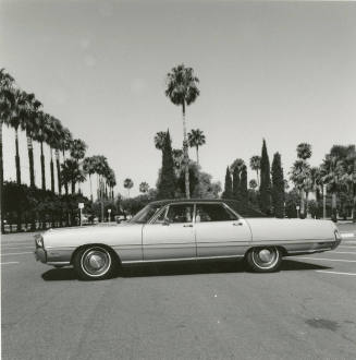 Car and palm trees
