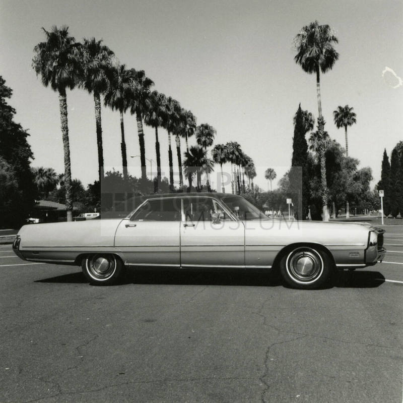 Car and palm trees