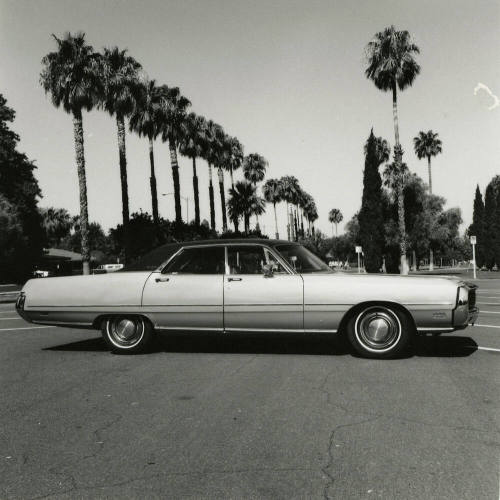 Car and palm trees
