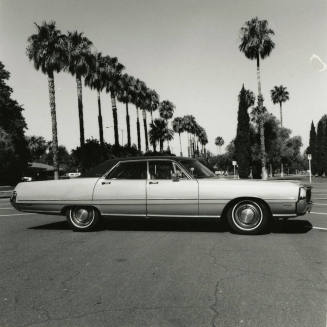 Car and palm trees