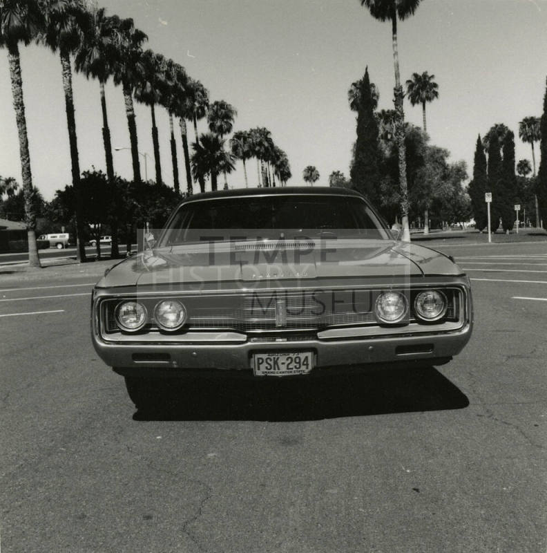 Car and palm trees